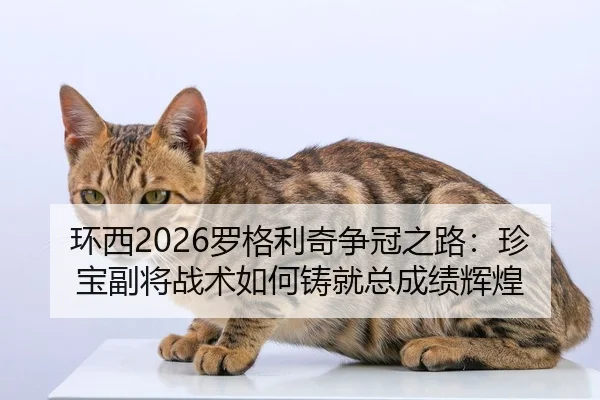 环西2026罗格利奇争冠之路：珍宝副将战术如何铸就总成绩辉煌