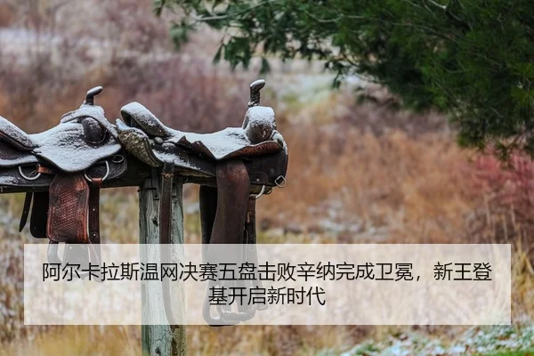 a-er-ka-la-si-wen-wang-jue-sai-wu-pan-ji-bai-xin-na-wan-cheng-wei-mian-xin-wang-deng-ji-kai-qi-xin-shi-dai-2-192.jpg