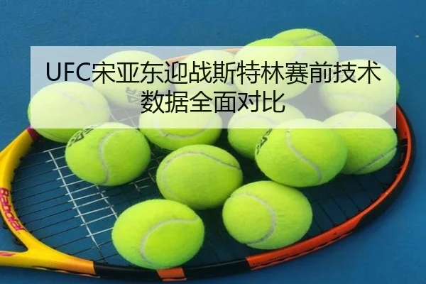 UFC宋亚东迎战斯特林赛前技术数据全面对比