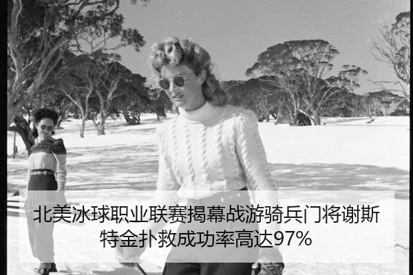 北美冰球职业联赛揭幕战游骑兵门将谢斯特金扑救成功率高达97%