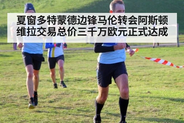 夏窗多特蒙德边锋马伦转会阿斯顿维拉交易总价三千万欧元正式达成