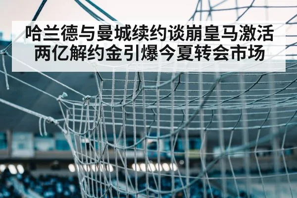 soccer goal net